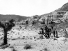 red_rock_canyon_1933