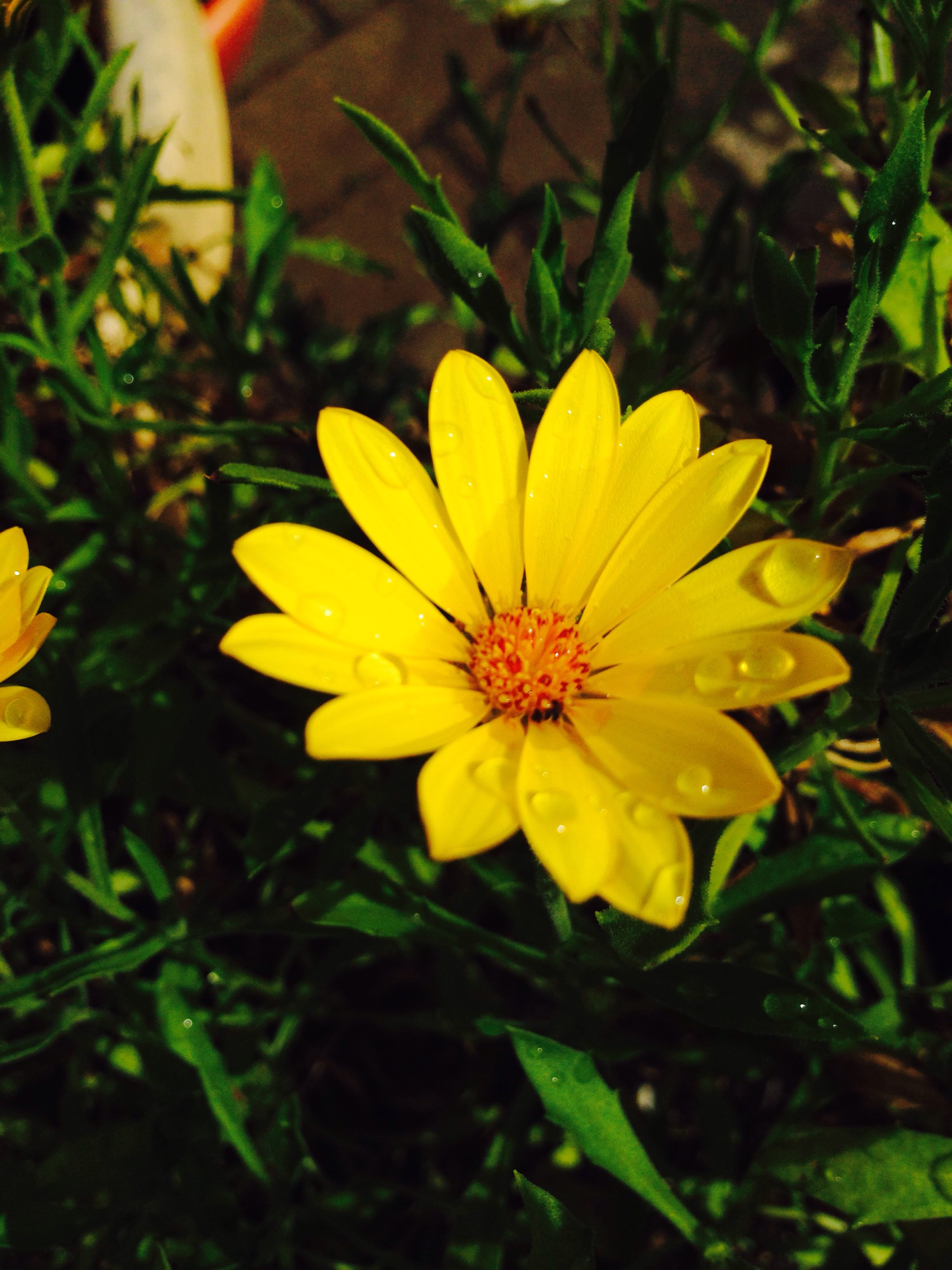 Casting Location Spotlight Musical Theatre Group